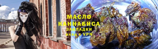 индика Бугульма