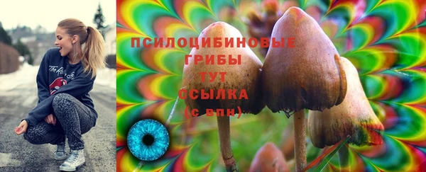 mdma Новокубанск