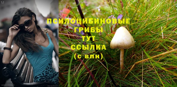дживик Няндома