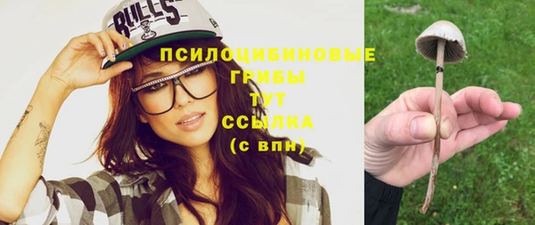 эйфоретик Новодвинск