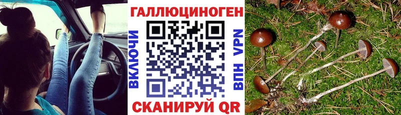 Галлюциногенные грибы мицелий продажа наркотиков Сергач